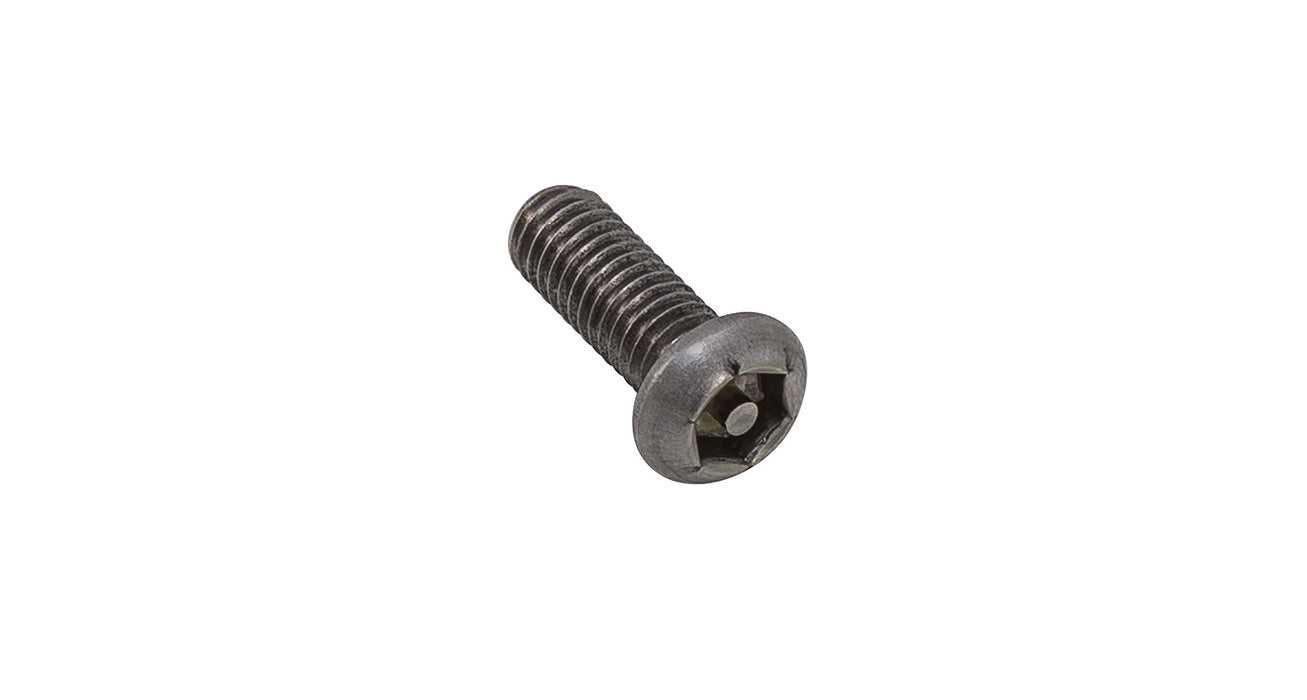 M6 x 16mm Button Security Screw (Stainless Steel) (6 Pack)
