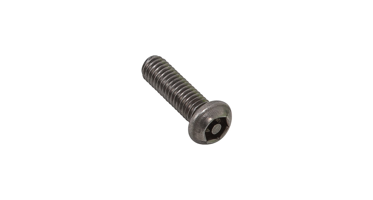 M6 x 20mm Button Security Screw (Stainless Steel) (6 Pack)