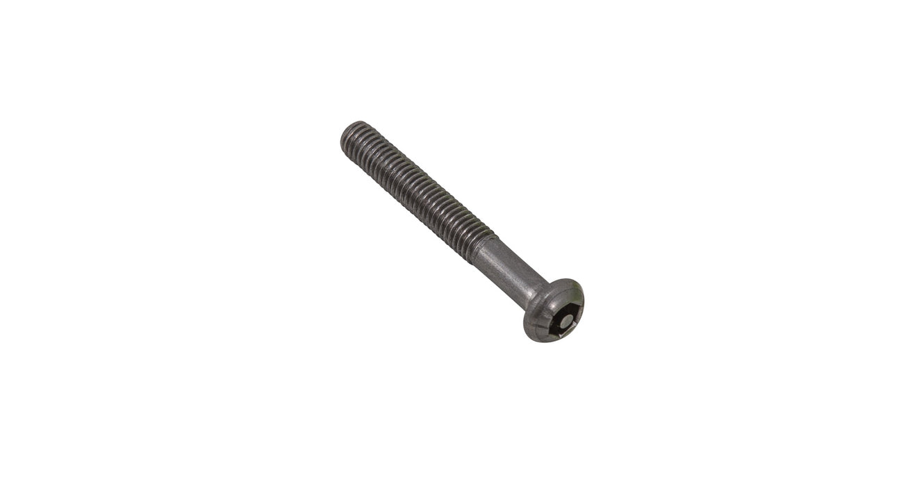 M6 x 45mm Button Head Security Screw (Stainless Steel) (6 Pack)
