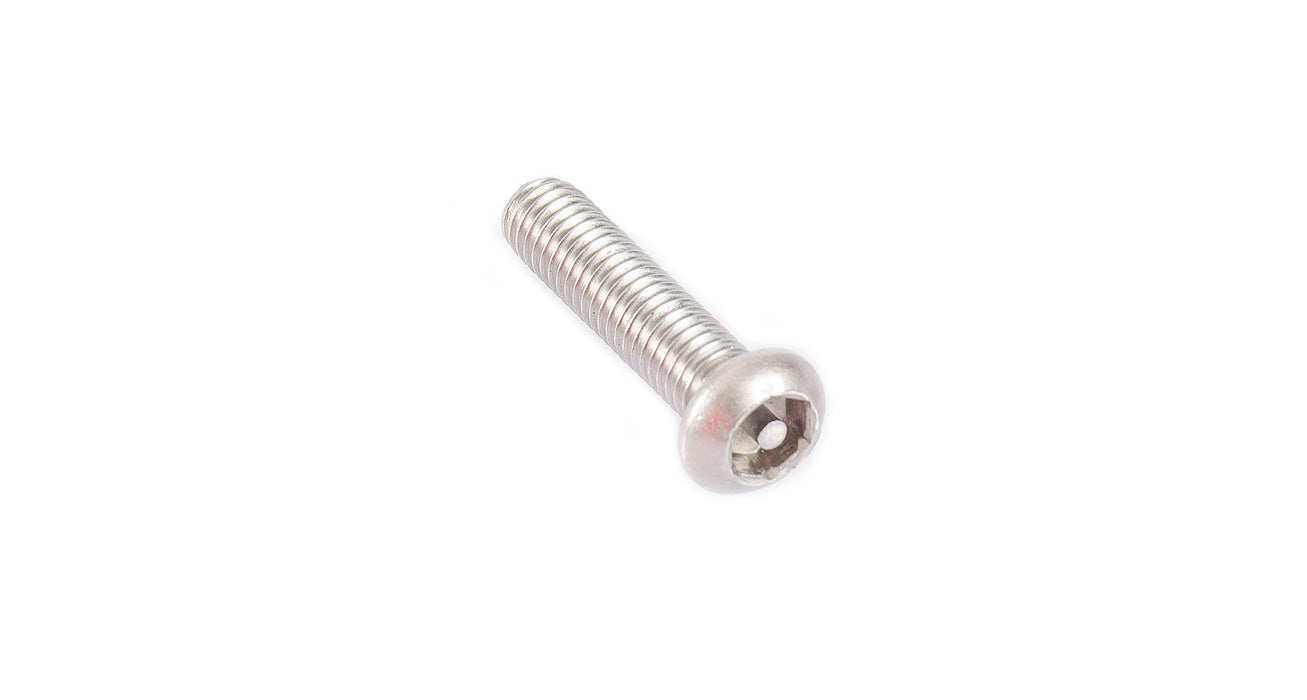 M6 x 25mm Security Screw (Stainless Steel) (6 Pack)