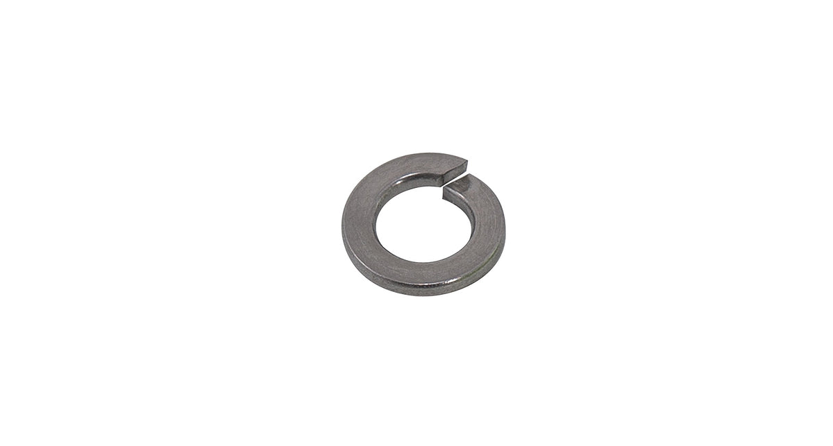 M8 Spring Washer (Stainless Steel) (10 Pack) — Coldys